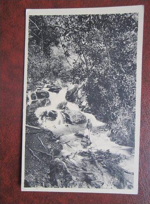 Blida Gorges de la Cliffa Cascades du Ruisseau des Singes Algerien CPA AK