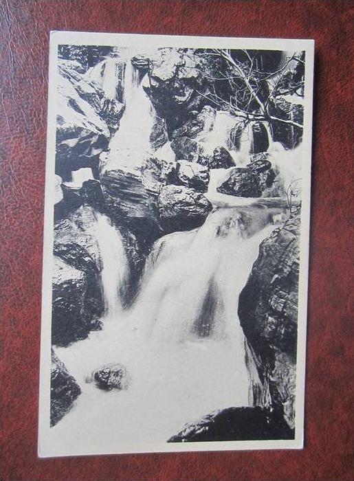 Blida Gorges de la Cliffa Cascades du Ruisseau des Singes Algerien CPA AK