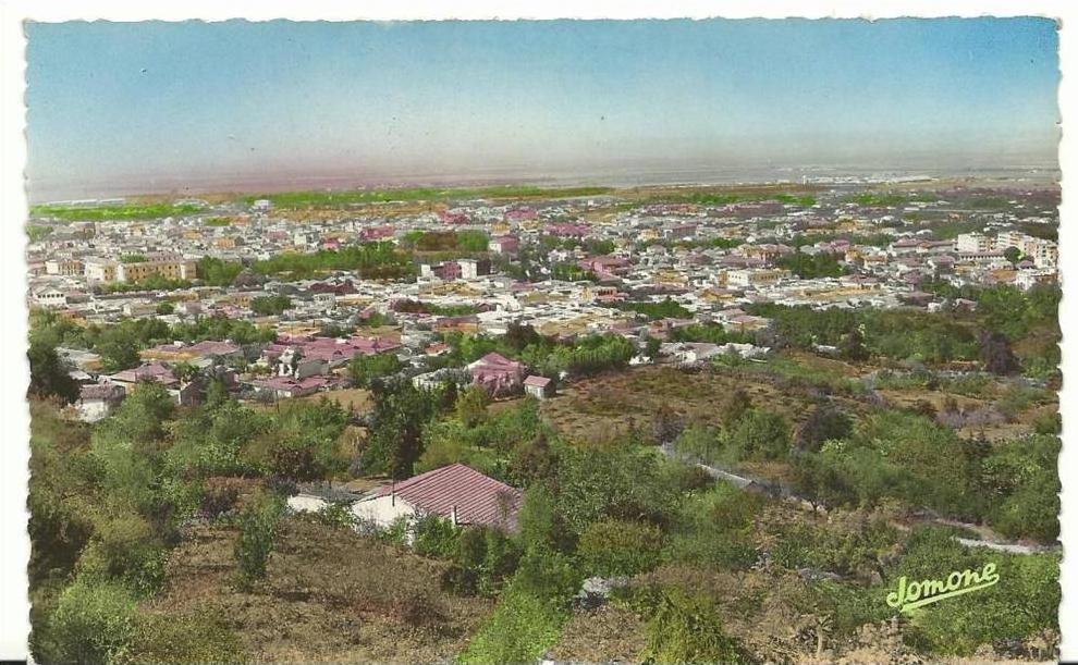 algérie   BLIDA  vue