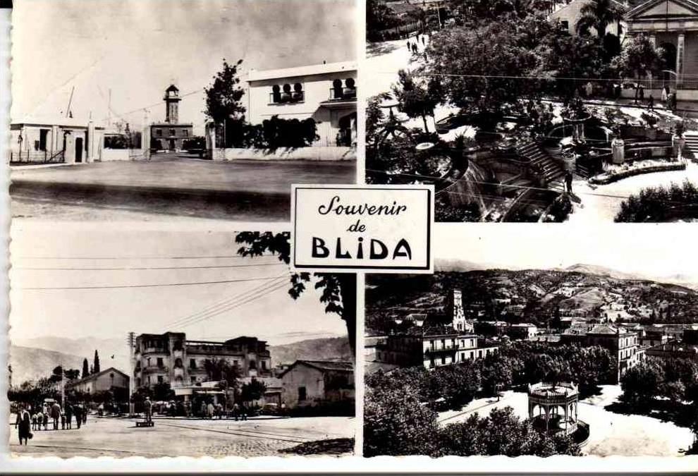 PORT GRATUIT    7350   BLIDA  1962