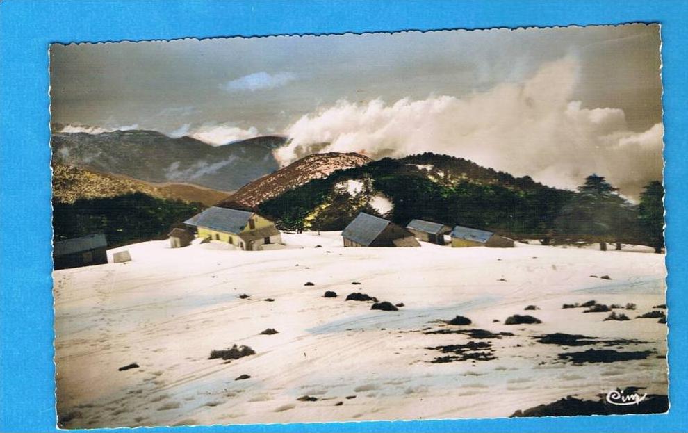 CPSM- Chréa- station estivale- chalet dans la montagne l'hiver -Algérie