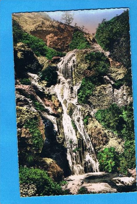 CPSM- Blida- cascade à Chréa- Algérie