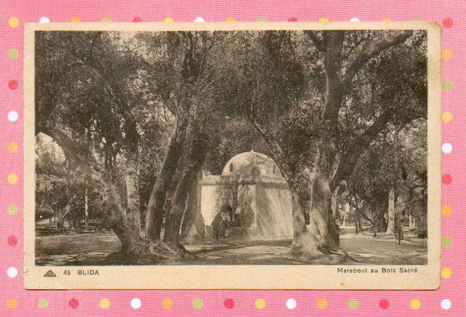 CPA  ALGERIE  -  BLIDA  -  45  Marabout au Bois Sacré