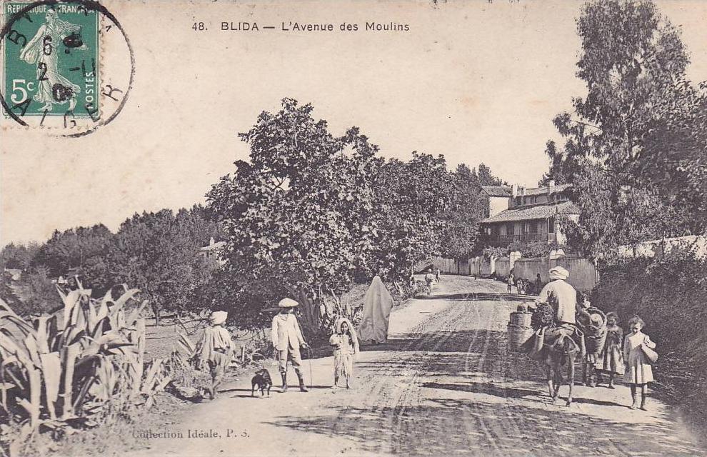 CPA - ALGERIE - BLIDA - l´avenue des moulins - 48