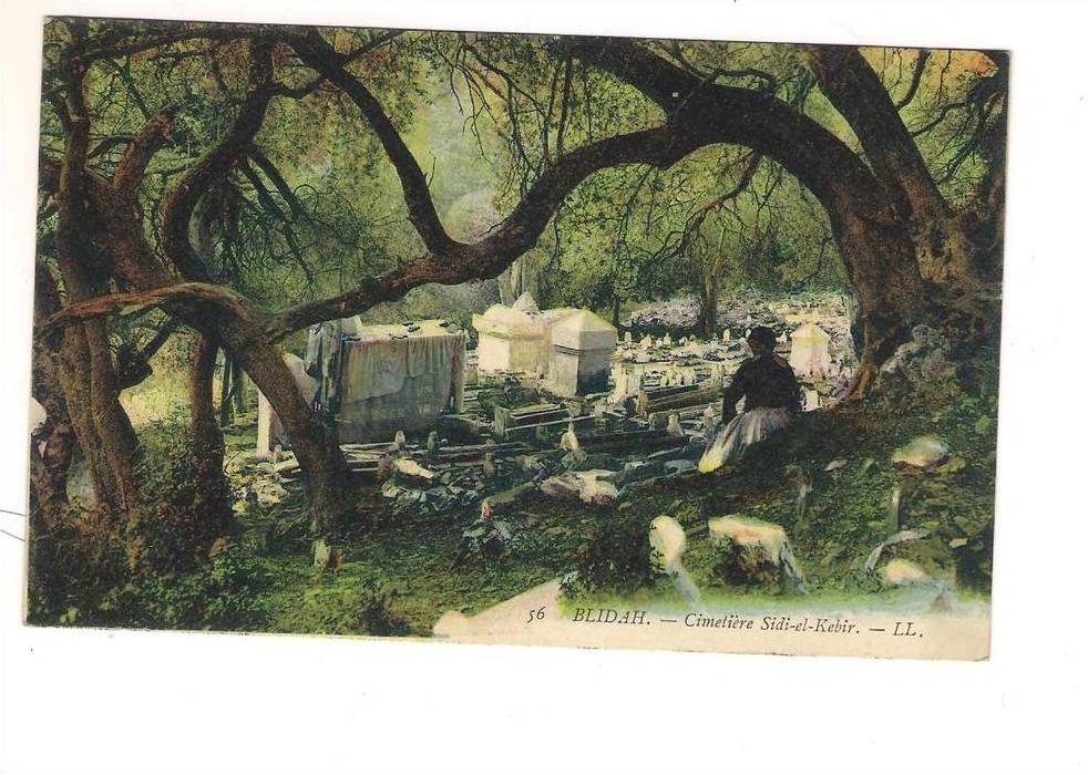 BLIDAH, colorisé, non écrite.  N°56