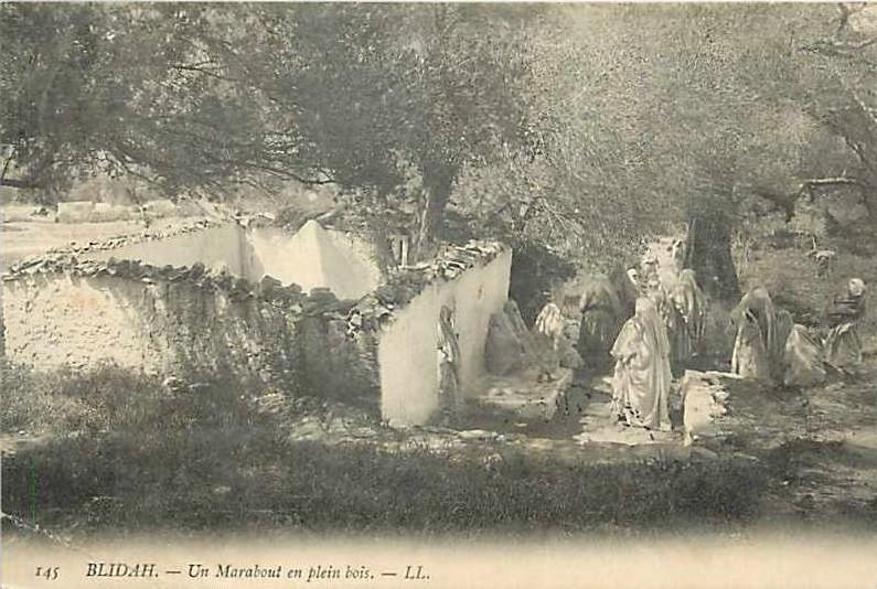 Fev13 160 Blida  -  Marabout  -  Bois