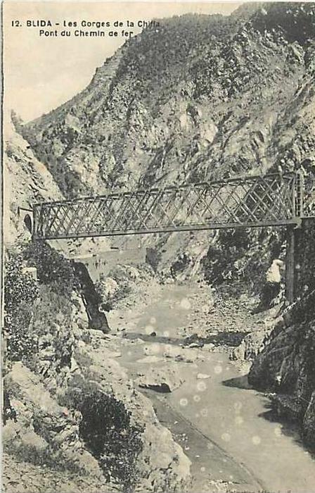 Fev13 157 Blida  -  Gorges de la Chiffa  -  Pont du Chemin de fer