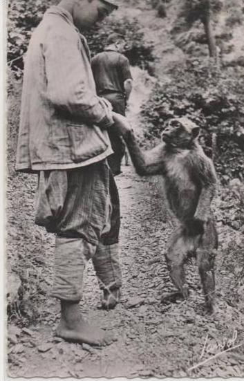 29 BLIDA  LA VALLEE DE CHIHHA