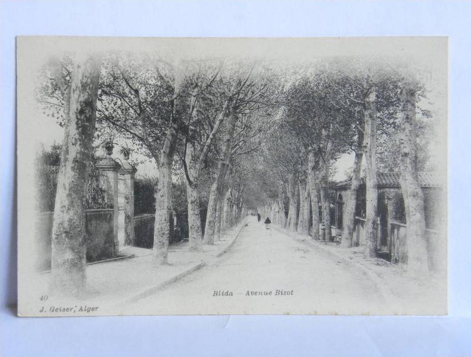 CPA précurseur - Algérie - BLIDA - N° 40 - Avenue Bizot