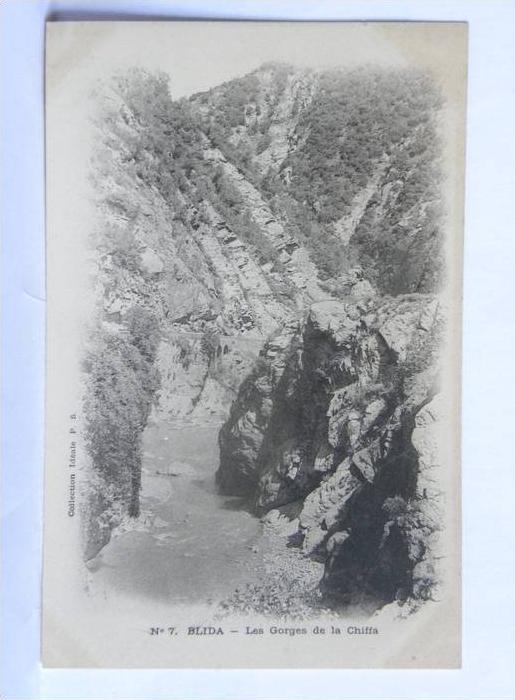 CPA précurseur - Algérie - BLIDA - N° 7 Les Gorges de la Chiffa