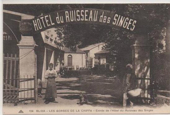 134  BLIDA  LES GORGeS DE LA CHIFFA  HOTEL DU RUISSEAU DES SINGES