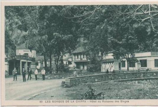 89 BLIDA  LES GORGZS DE LA CHIFFA HOTEL