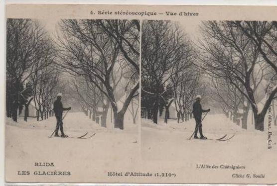 BLIDA  CARTE STEReOcoscopique  LES GLACIERES ALLEE  DES CHATAIGNIERS