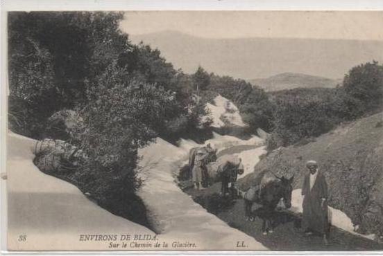 38  BLIDA   SUR LES CHEMIN DE LA GLACIERE