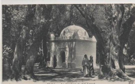 9 BLIDA  LE MARABOUT DE SISI  YACOUB