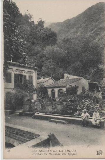 66  BLIDA  LES GORGES DE LA CHIFFA