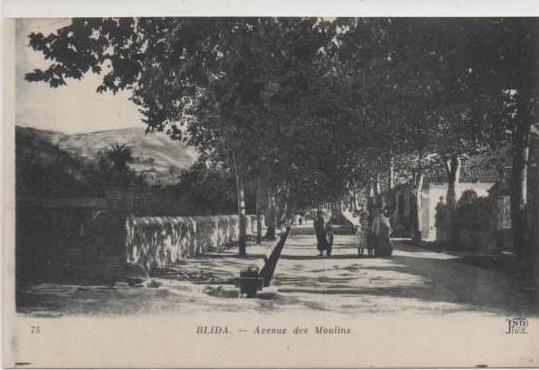 75  BLIDA AVENUE DES MOULINS