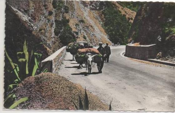 112  BLIDA  LES GORGES DE LA CHIFFA