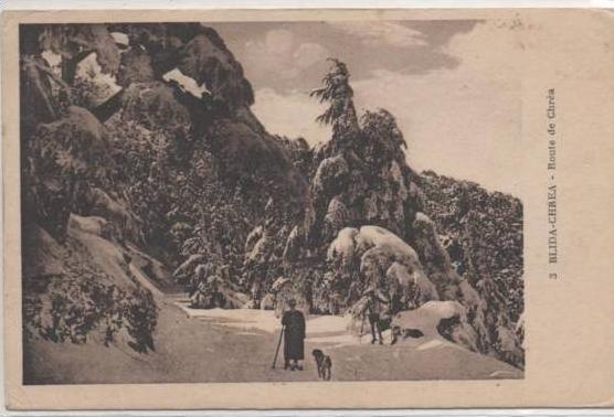 3  BLIDA  CHREA  ROUTE DE CHREA