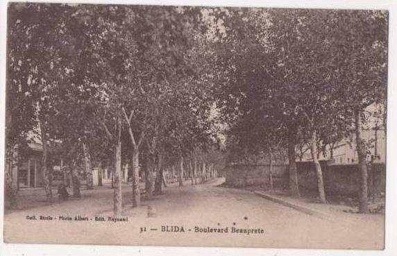 AFRIQUE - ALGERIE - BLIDA - boulevard Beauprete