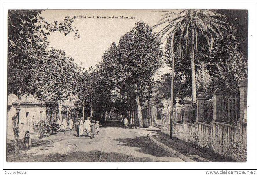 Blida - l´avenue des Moulins - animée - n° 47 - Algérie