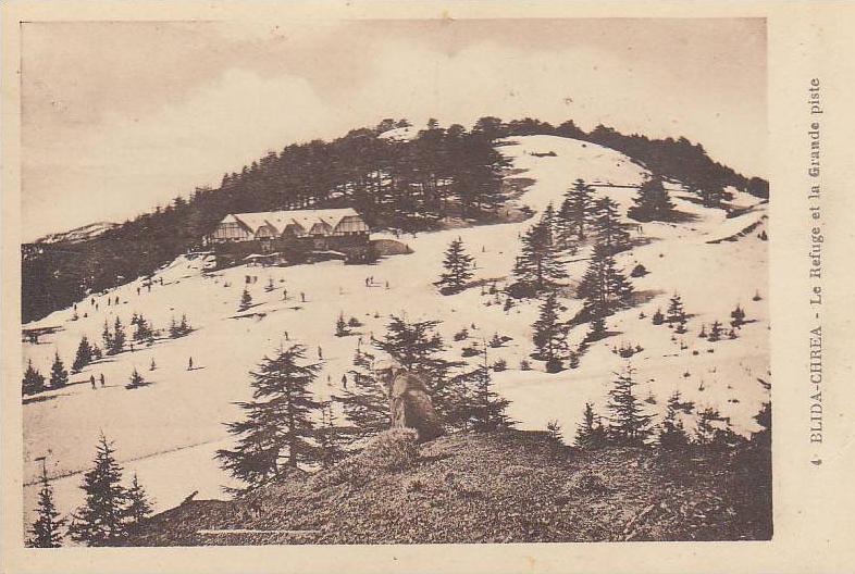 BLIDA CHREA  / LE REFUGE ET LA GRANDE PISTE   /////        REF  F136
