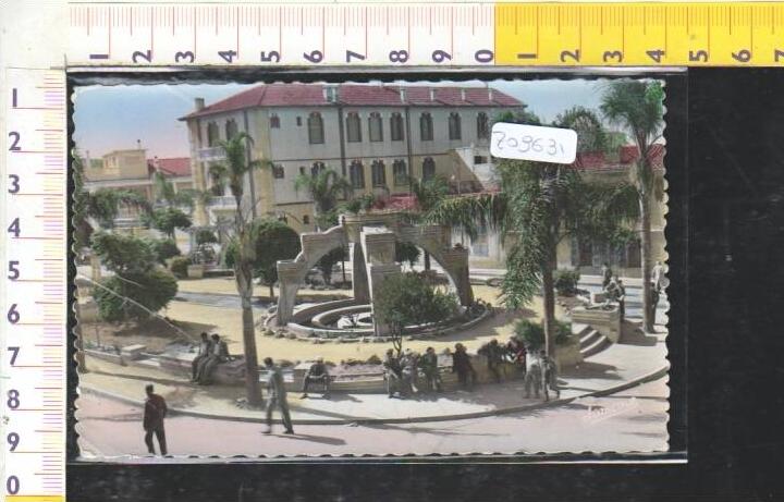 Z09631 BLIDA ECOLE DE FILLES BOULEVARD DE STRASBOURG PANORAMA FONTANE