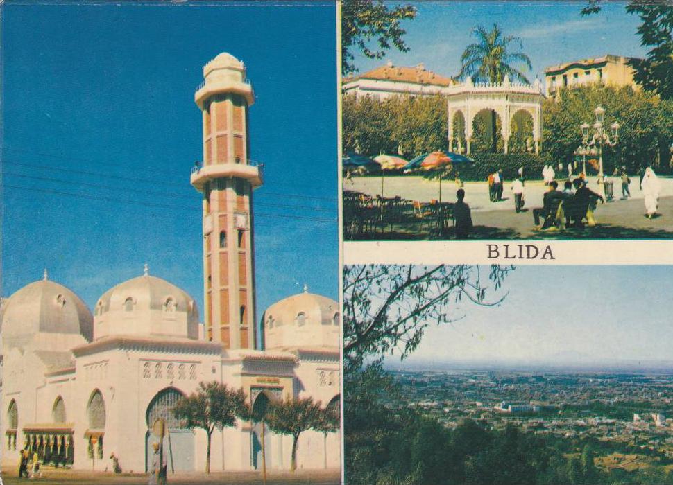 AFRIQUE,ALGERIE FRANCAISE,AFRICA,BLIDA IL Y A 38 ANS,MOSQUEE,TEMPLE,PARC,k iosque