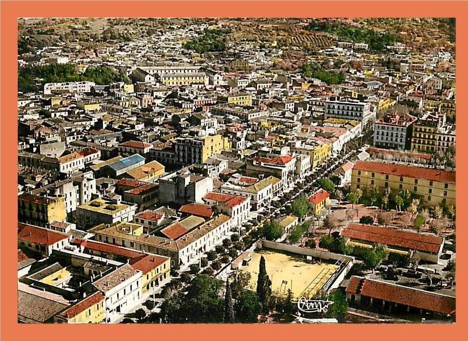 Algérie BLIDA Vue générale aérienne - Boulevard Trumelet // CPSM Dentelée