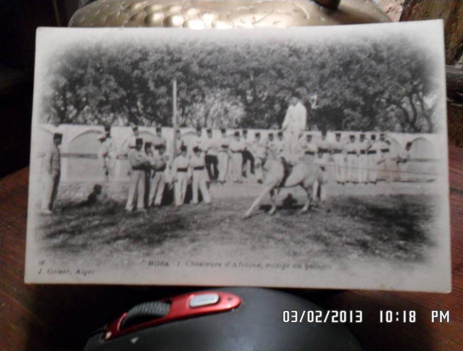 BLIDA - * CHASSEURS D'AFRIQUE, VOLTIGE AU GALOP * animée non circulée - J.GEISER Alger