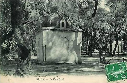 Algérie  BLIDA  Le Bois-Sacré