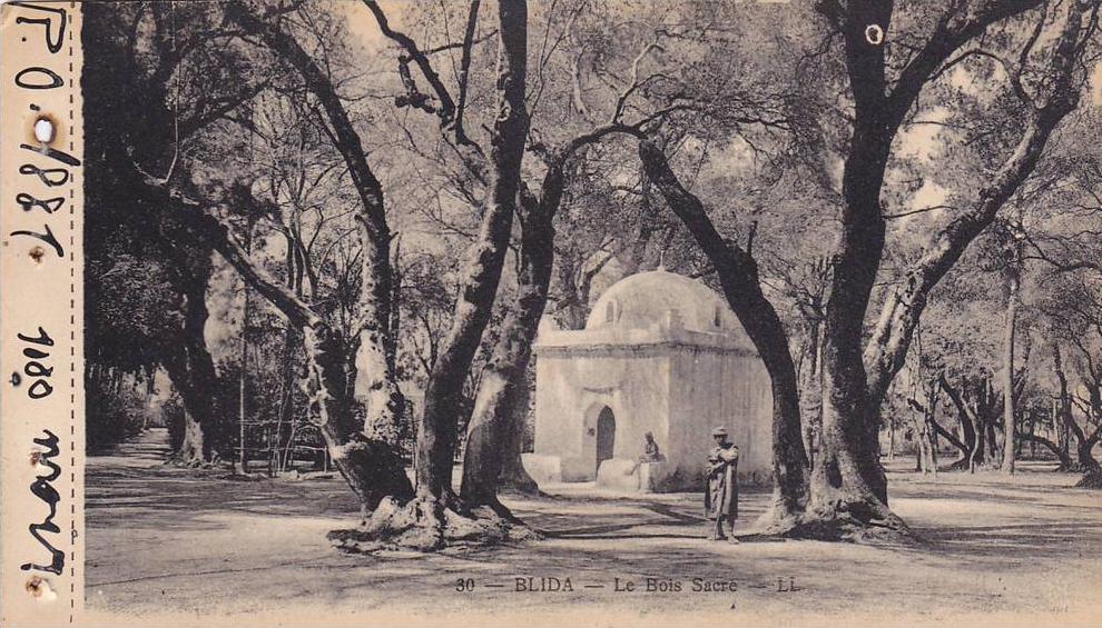 BLIDA, Le Bois Scare, Algeria, 10-20s