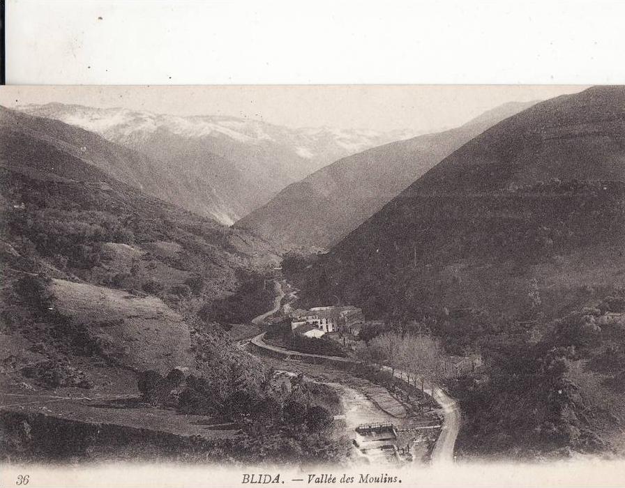 *** ALGERIE - BLIDA  - Vallée des Moulins *** CPA Non-Ecrite  Edts