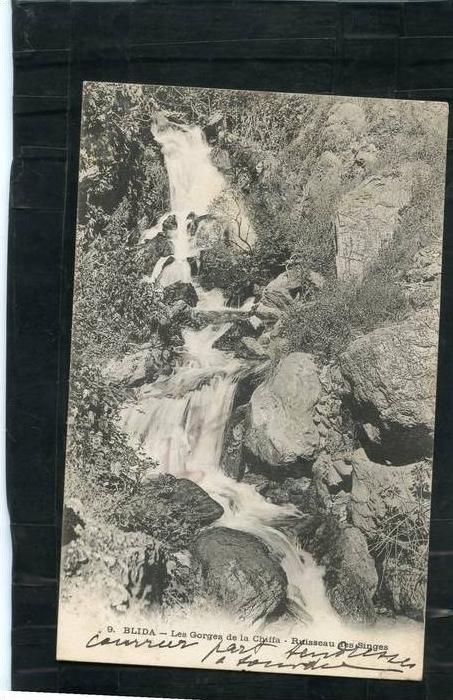 gorges de la chiffa - ruisseau des singes