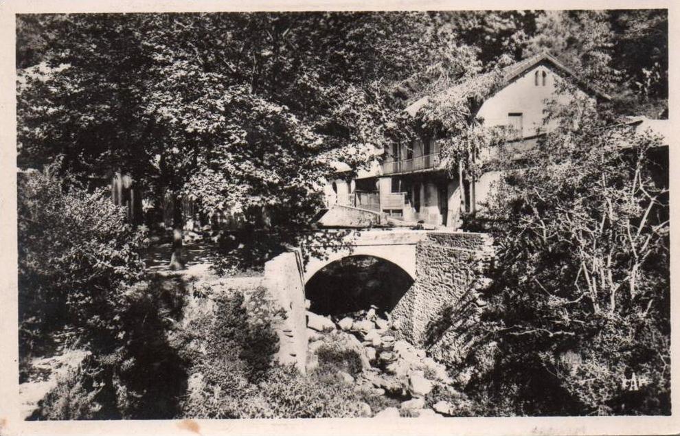 CARTE POSTALE. ALGERIE. BLIDA. HOTEL DU RUISSEAU DES SINGES.