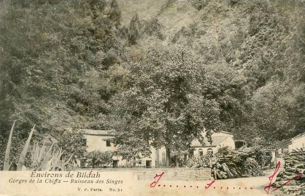 gorges de la chiffa - ruisseau des singes