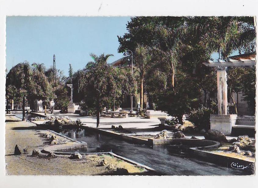 BLIDA  LE JARDIN PUBLIC