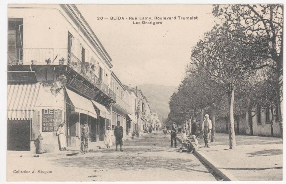 Algérie - Blida - Rue Lamy, Boulevard Trumelet - Les Orangers - Bar du Succes - Collection A. Mauguin N° 20