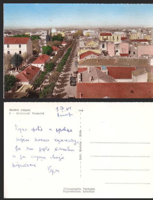 ALGERIA BLIDA BOULEVARD TRUMELET POSTCARD  - D28176