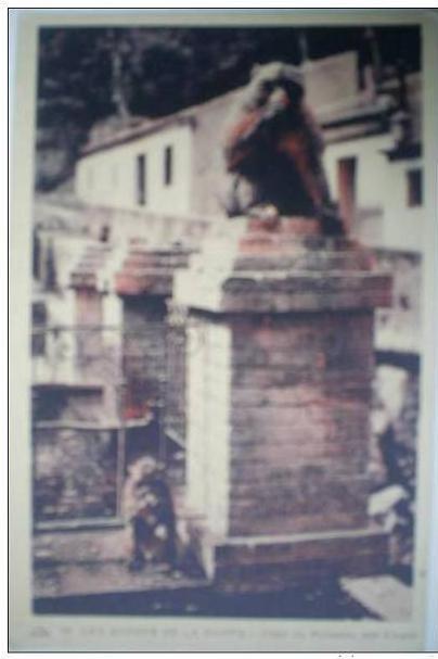 C. Postale  ALGERIE - LES GORGES DE LA CHIFFA - HOTEL DU RUISSEAU DES SINGES (vers 1915)