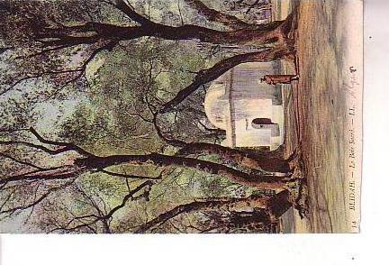 BLIDA Le bois sacré colorisé