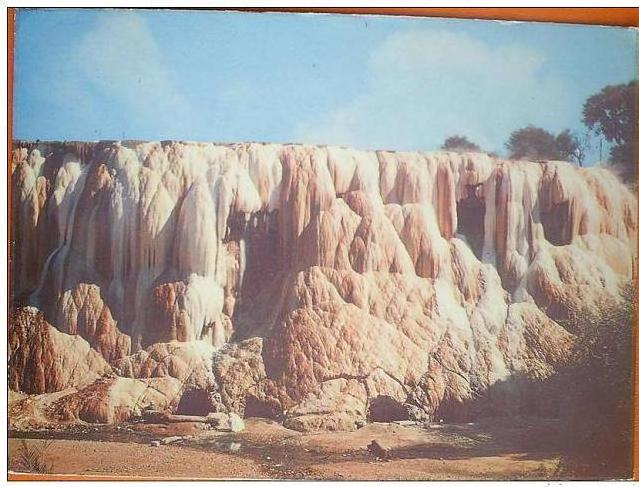 C. Postale  ALGERIE - GUELMA - CHUTES DE HAMMAM MESKHOUTINE (Ed. Rear, 1982)