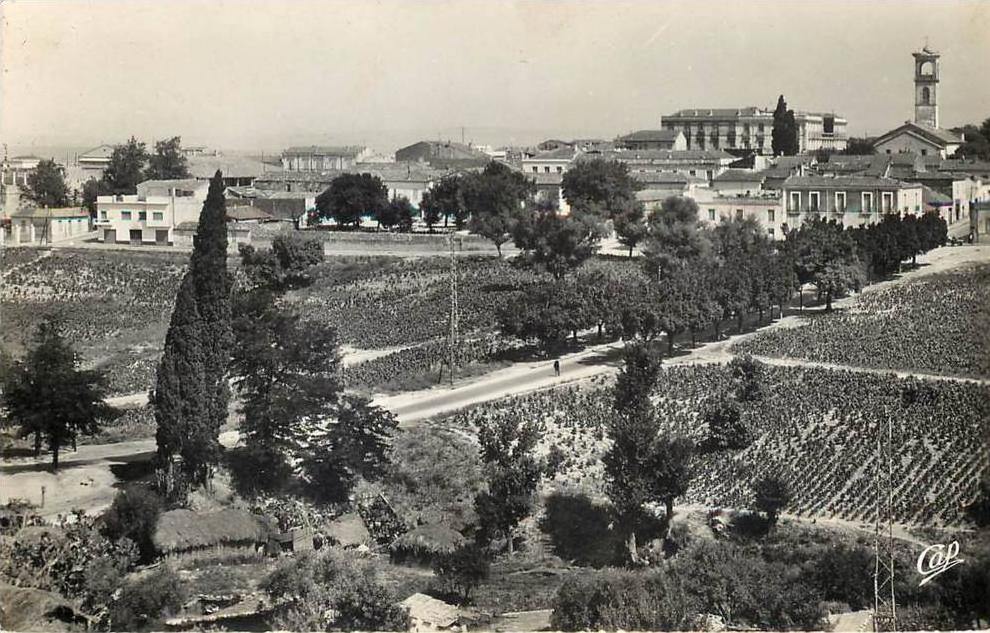 ALGERIE - GUELMA - VUE GENERALE