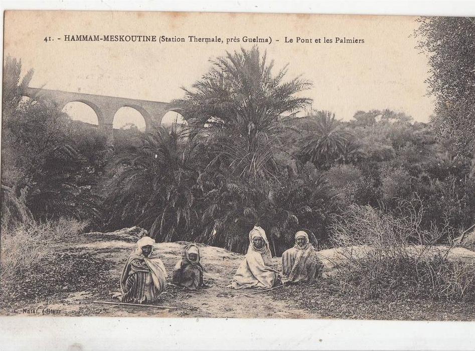 BR46164 Le Pont et les palmiers  Hammam Meskoutine     2  scans
