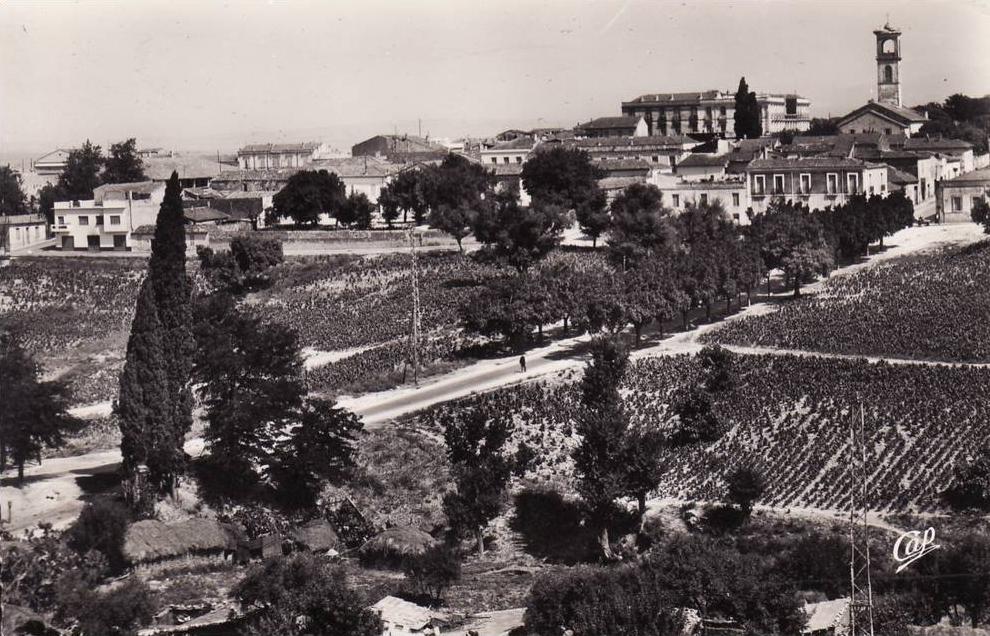 GUELMA vue générale Algérie Wilaya près Belkhier Héliopolis Hamman Debagh Ben Djerrah édit. C.A.P réal photo