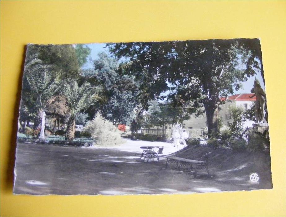 cpsm Guelma  le Square   Edit. Sirecky