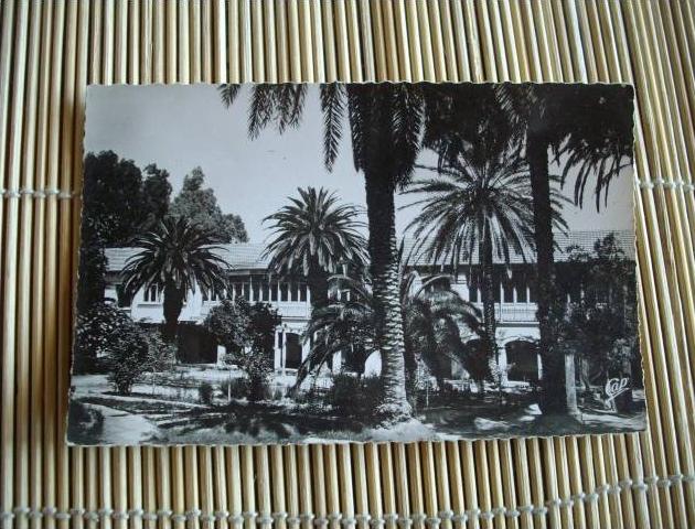 ENVIRONS DE GUELMA PARC ET HOTEL DES THERMES  @ VUE RECTO/VERSO AVEC BORDS @@