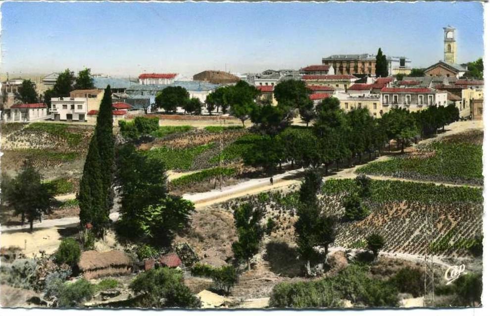 guelma - vue générale  n° 7