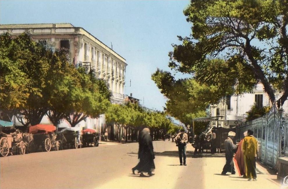 GUELMA L AVENUE SADI CARNOT ( LOT 29B )