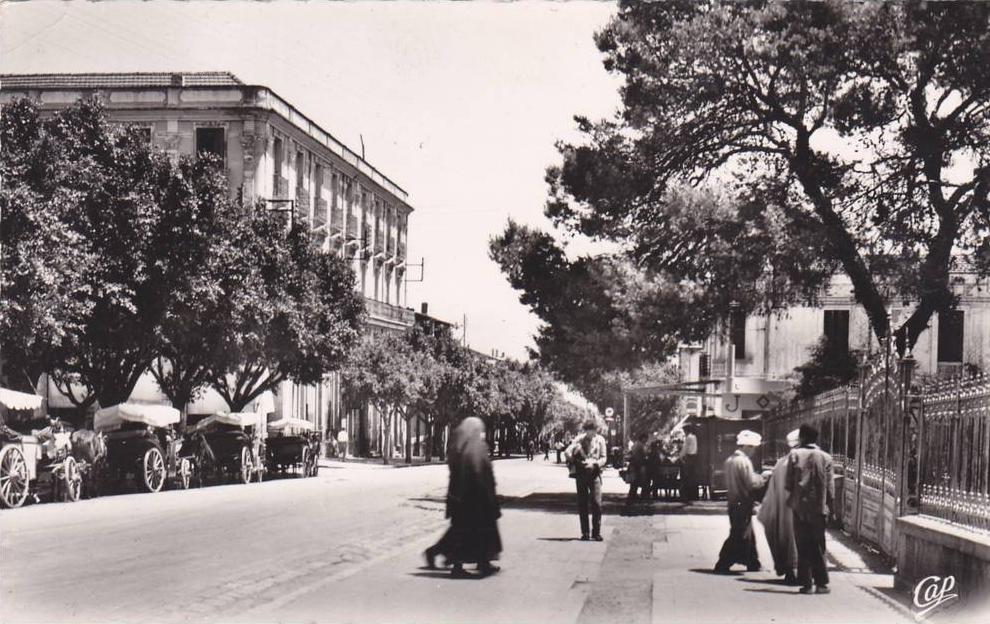 AFRIQUE,FRANCE COLONIES,MAGHREB,GUELMA EN 1956,CALAMA,MALACA,PRES ANNABA,AVENUE SIDI CARNOT,SOURCES THERMALES,CURE